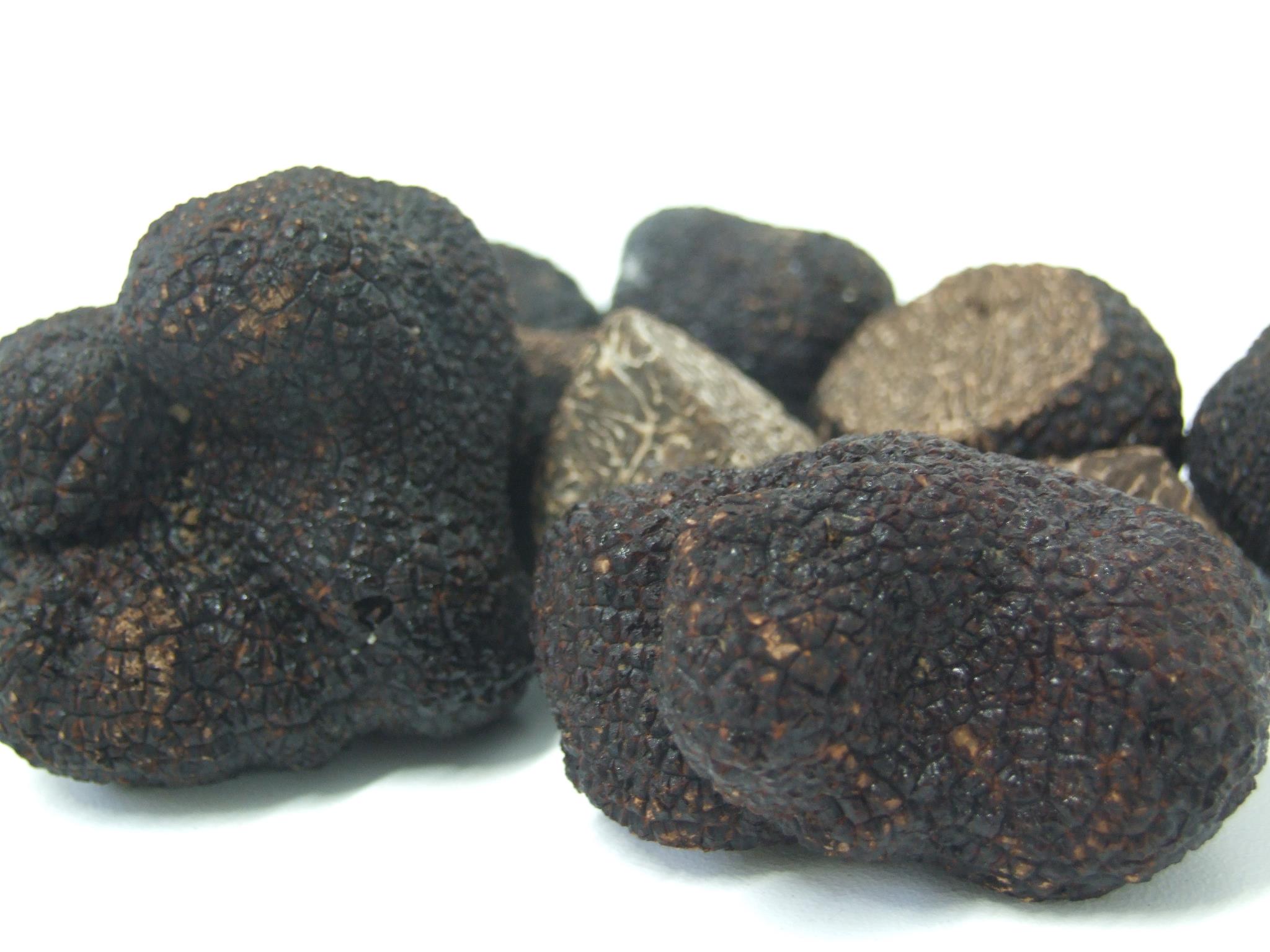trufas elarte