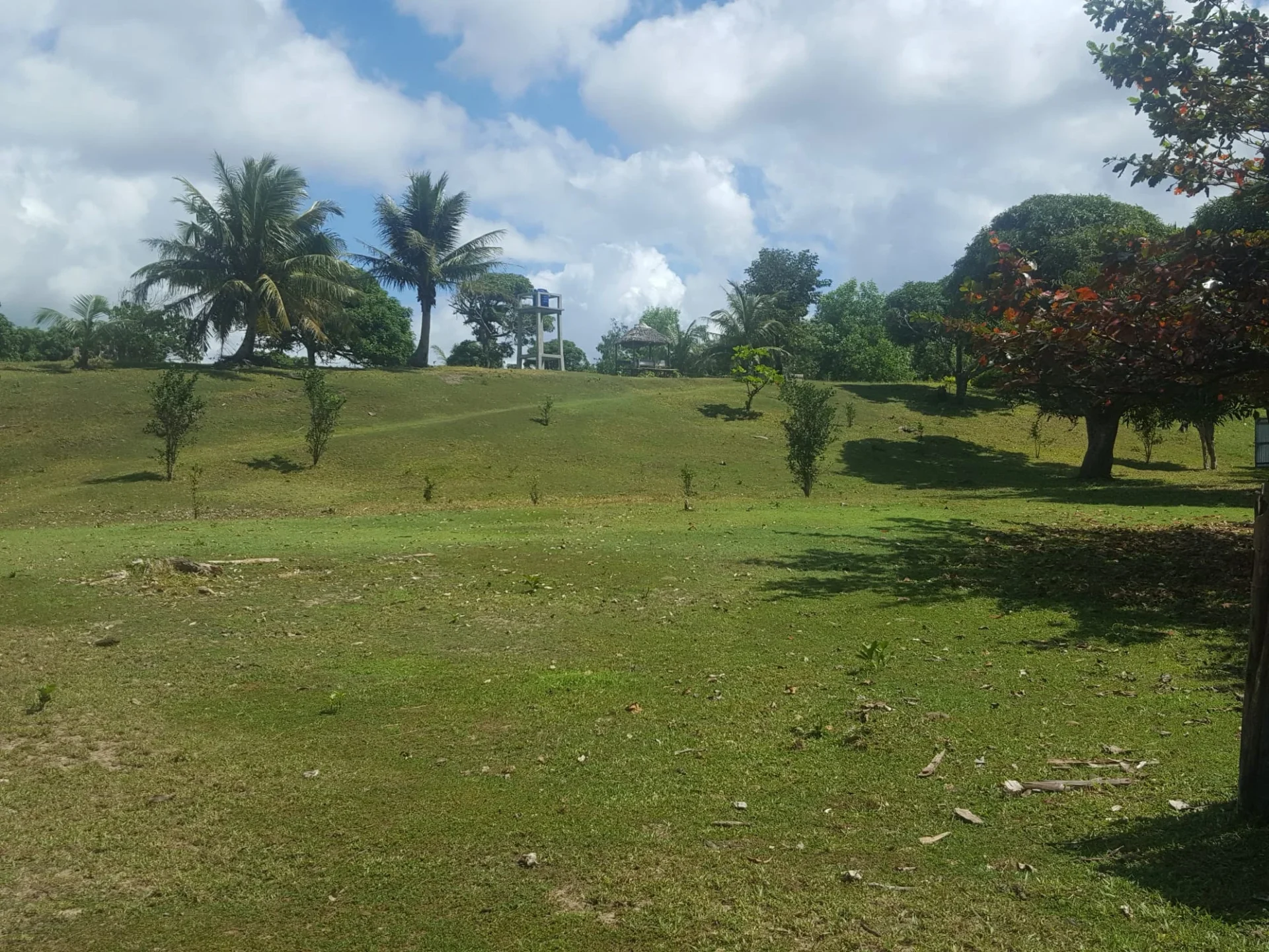 El terreno de Manambato, sede del refinado y el secado.