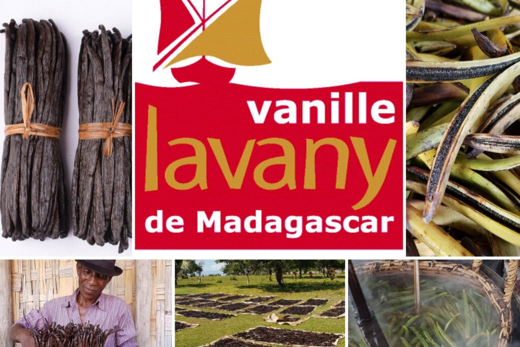 vainilla de madagascar