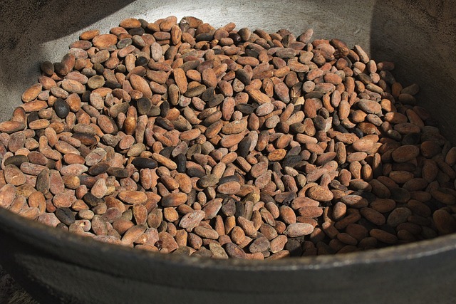 tostado del cacao