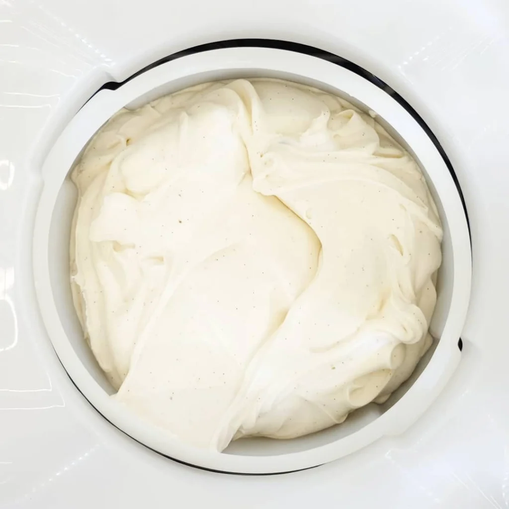 Yon Gallardo vanilla ice cream